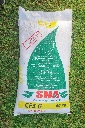 0Y5A2237-min.webp