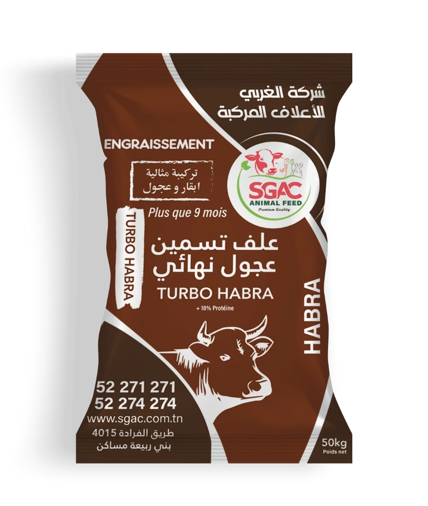 turbo-habra.webp