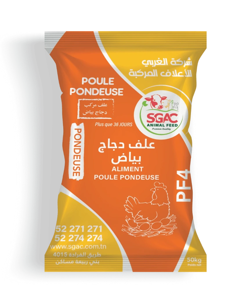 aliment-poulet-pondeuse.webp