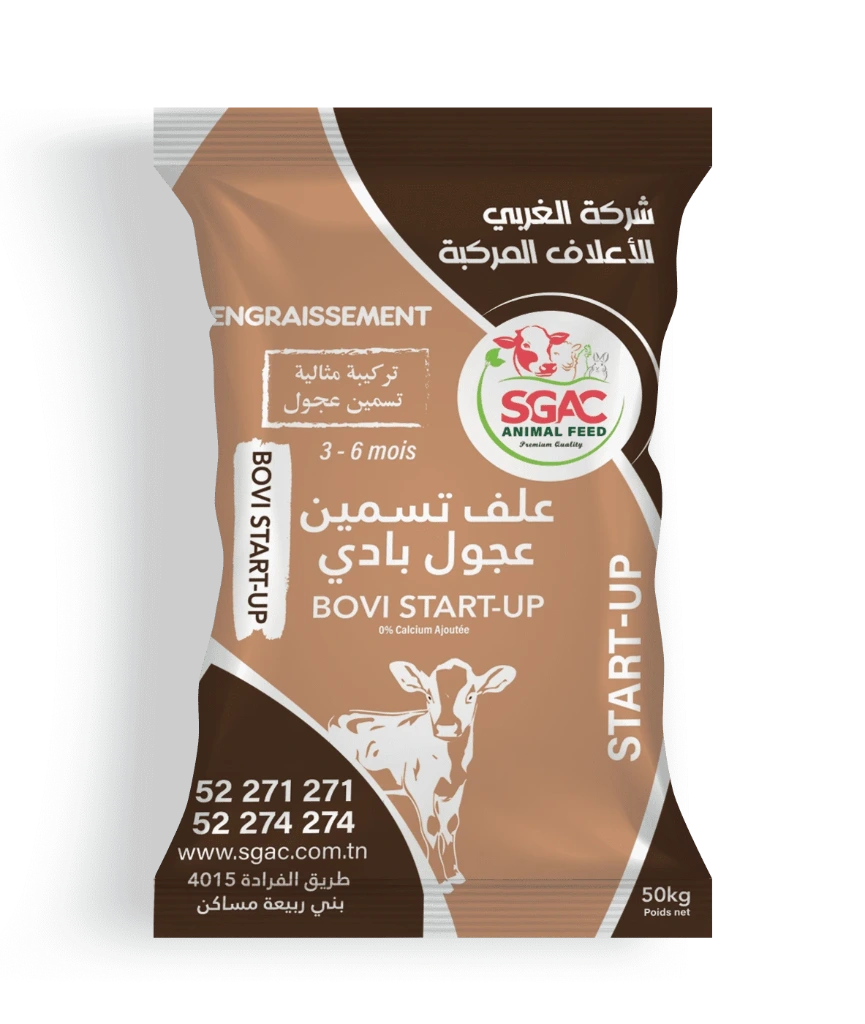 bovi-strat-up.webp