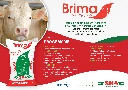 Brima Super + SAC