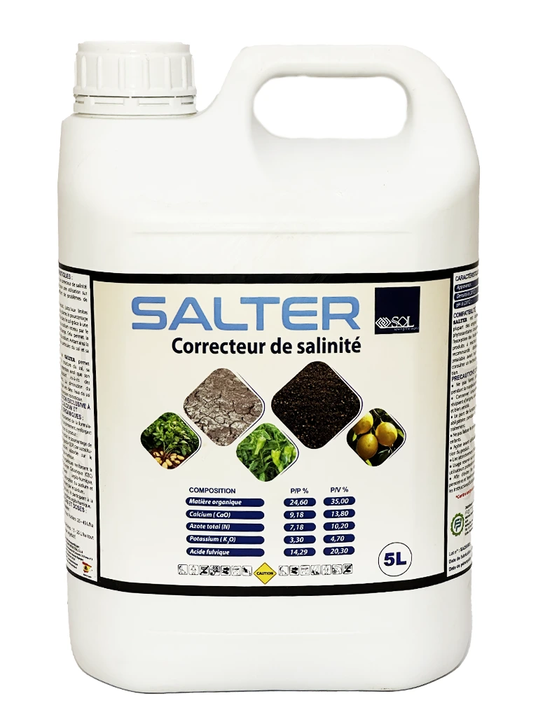 Salter 5L